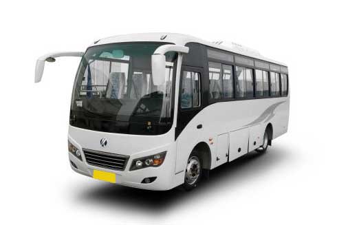 MINI BUS
